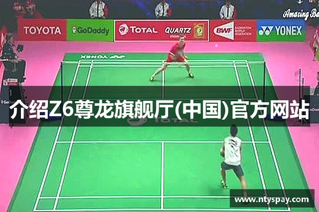 介绍Z6尊龙旗舰厅(中国)官方网站
